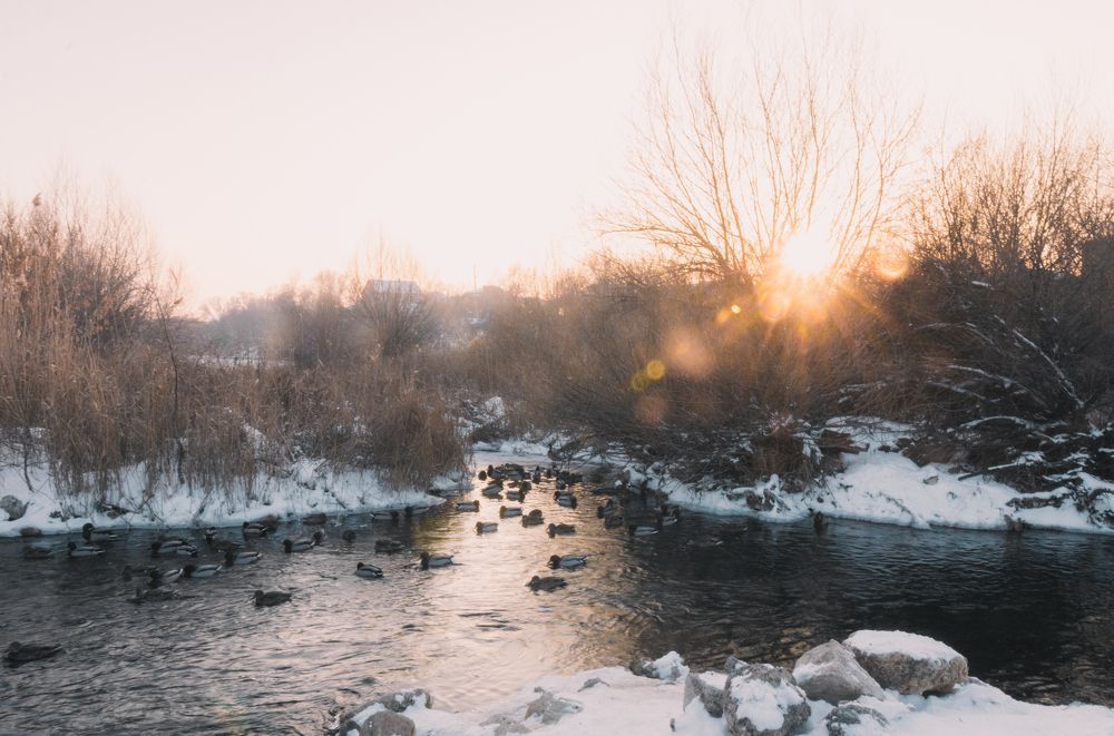 Большой Иргиз на закате