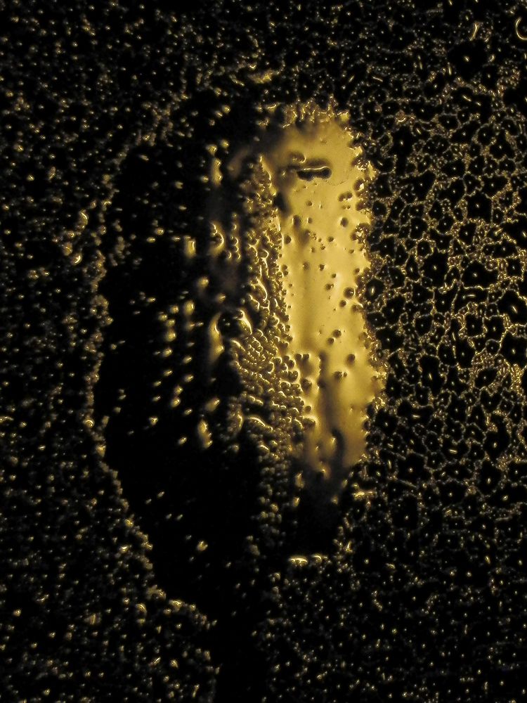 Photograph by Анастасия Псарёва