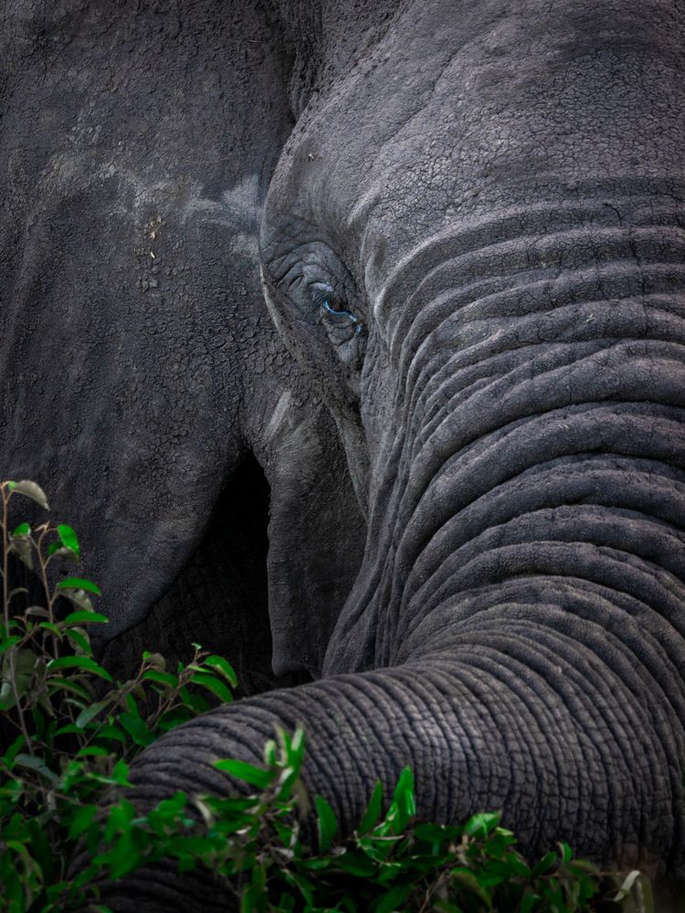 Photograph by Rémi Vacher