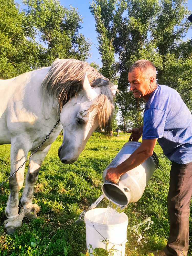 Photograph by Ирина Леончик