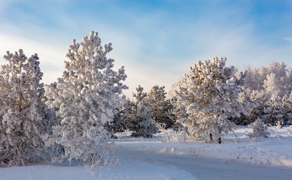 Photograph by Ольга Трифонова
