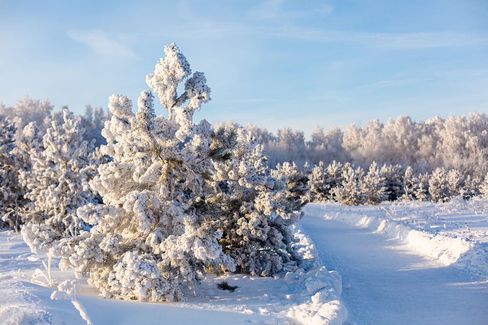 Photograph by Ольга Трифонова