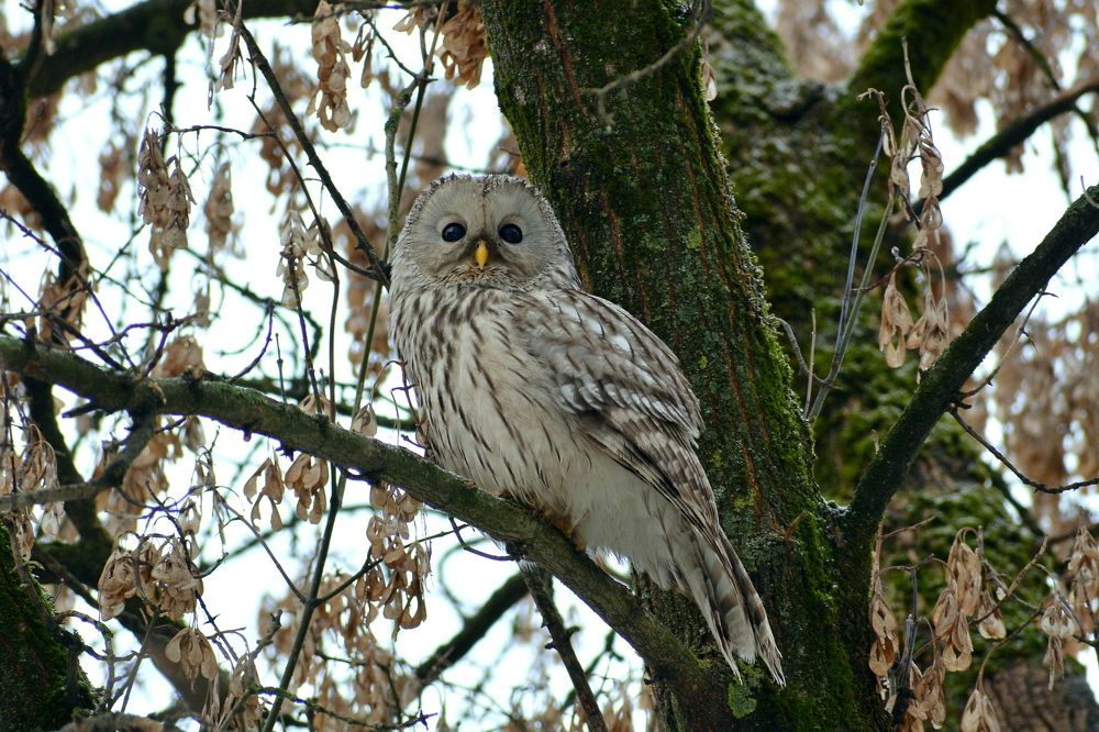 Photograph by Владислав Иопек