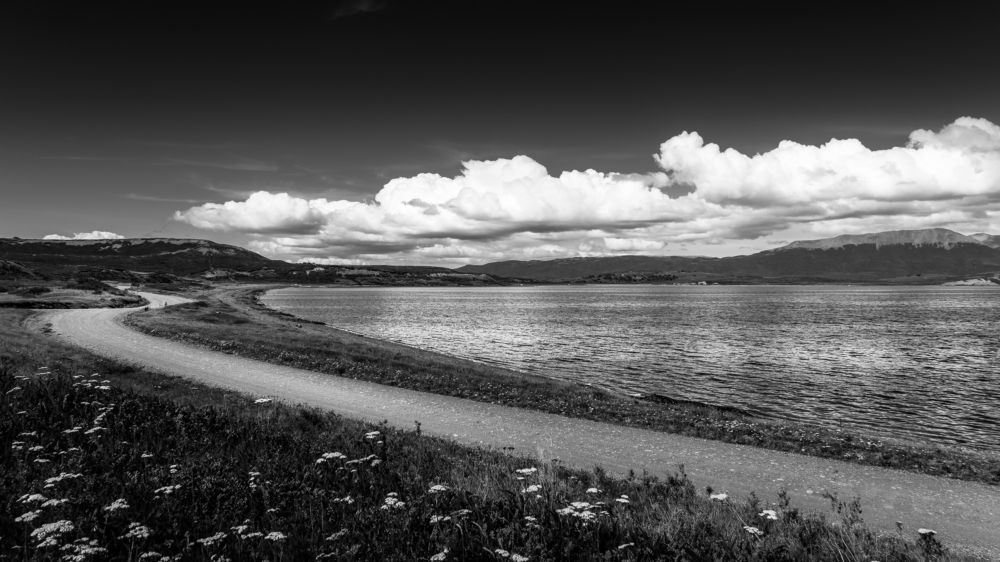 Photograph by Rolando Hernandez