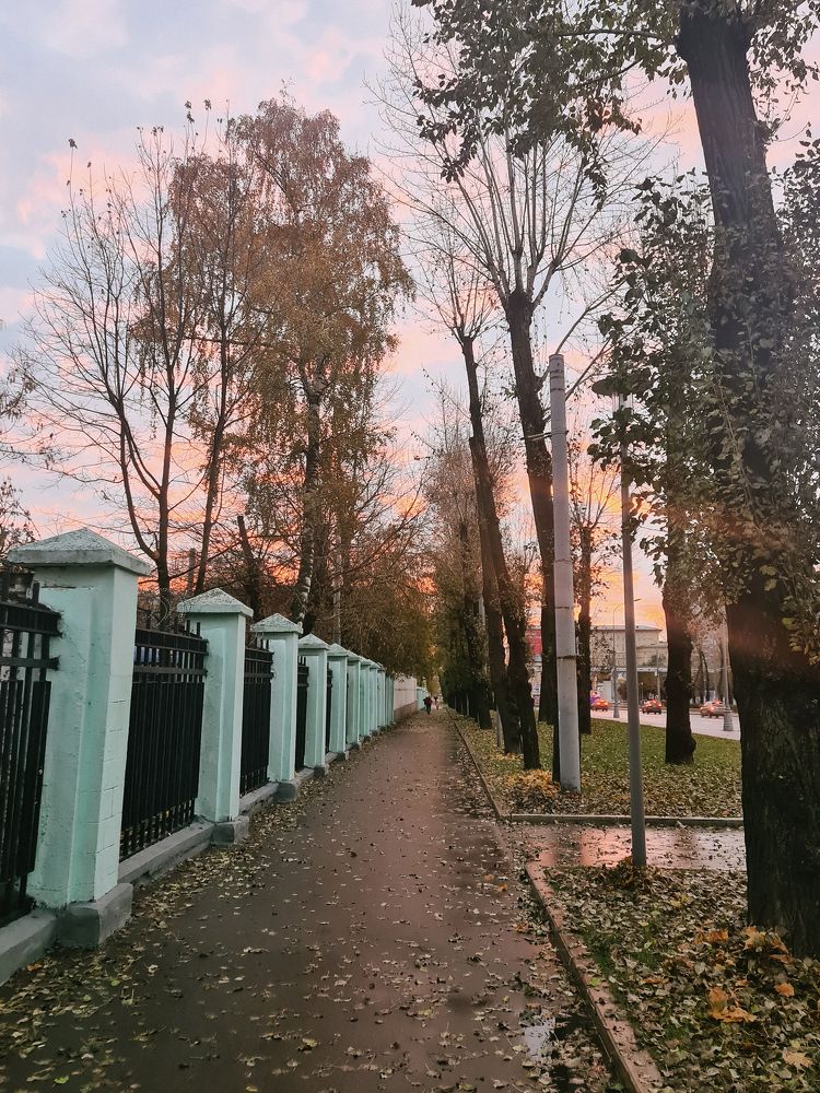 Photograph by Георгий Шеханов