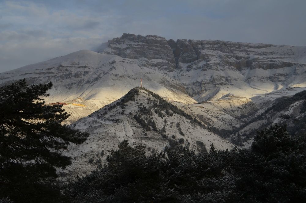 Photograph by Margareth