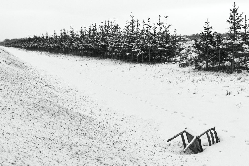 Photograph by Aleksei Degtjarjov