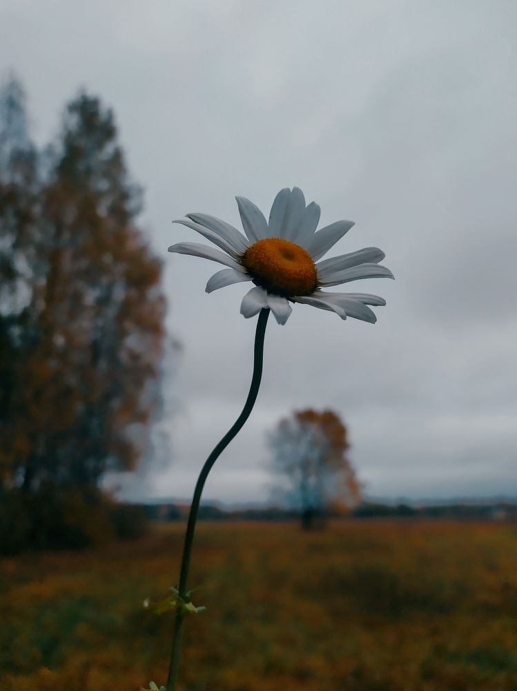 Photograph by Ирина Леончик