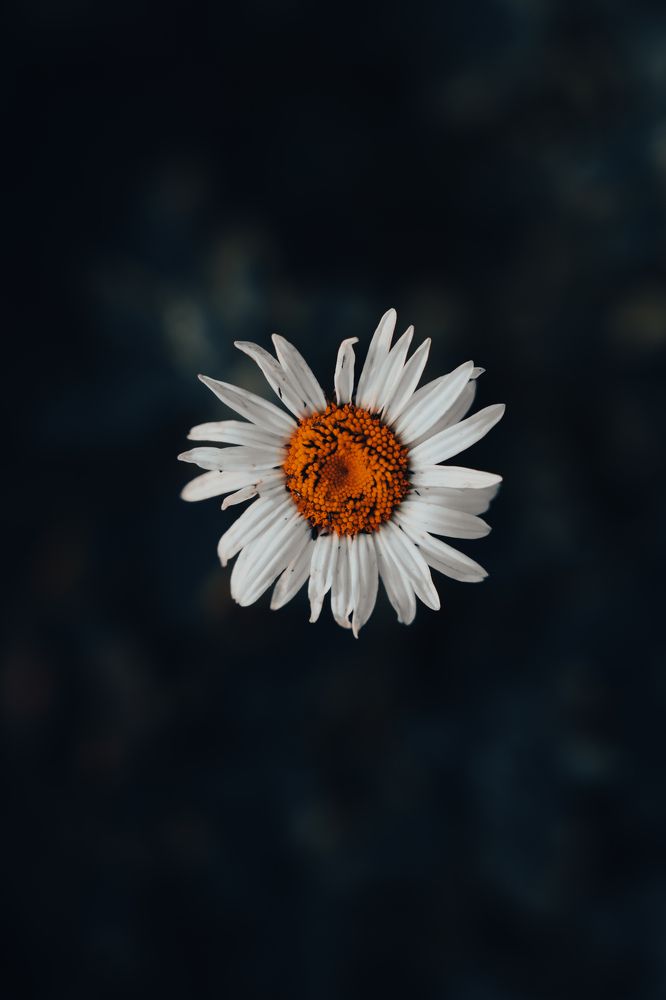 Photograph by Герман Крупенин