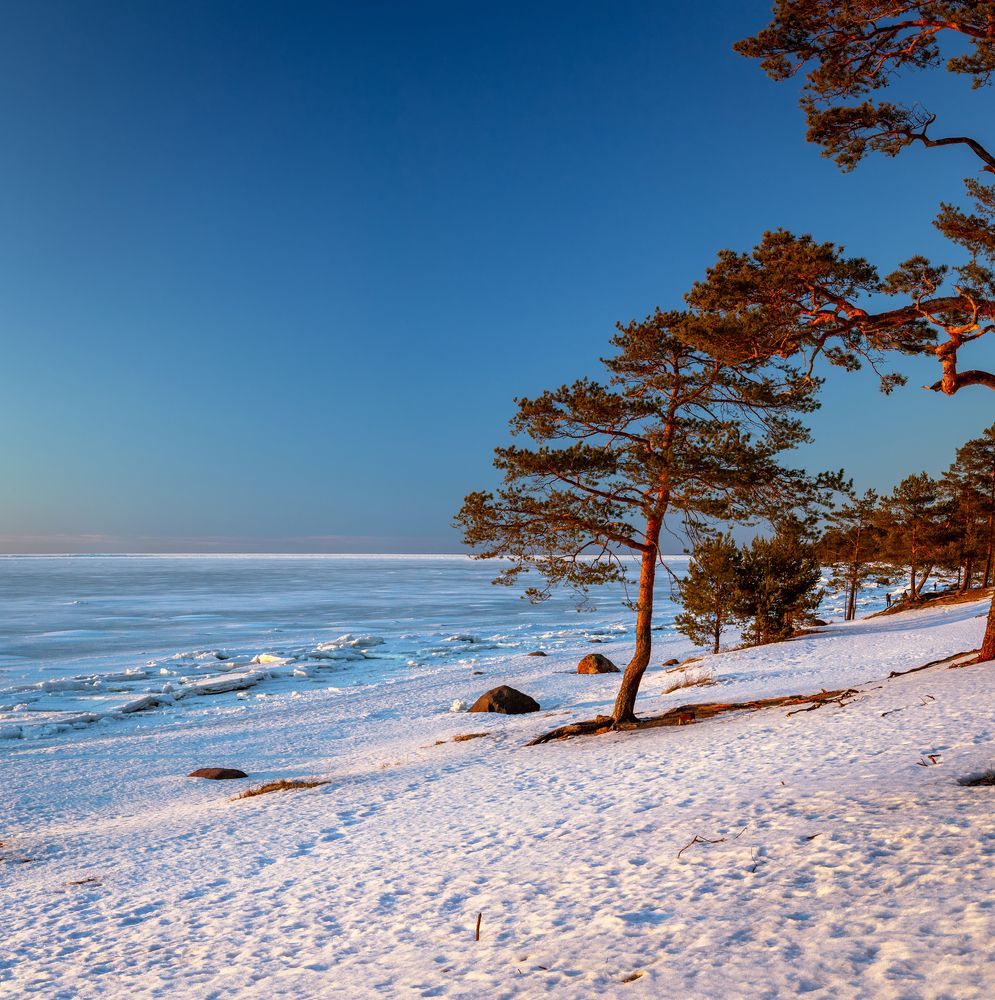 Photograph by Игорь Парсаданов