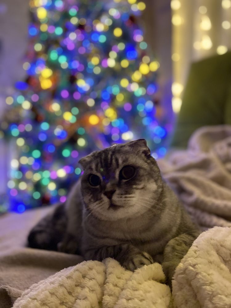 Photograph by Наталья Душакова