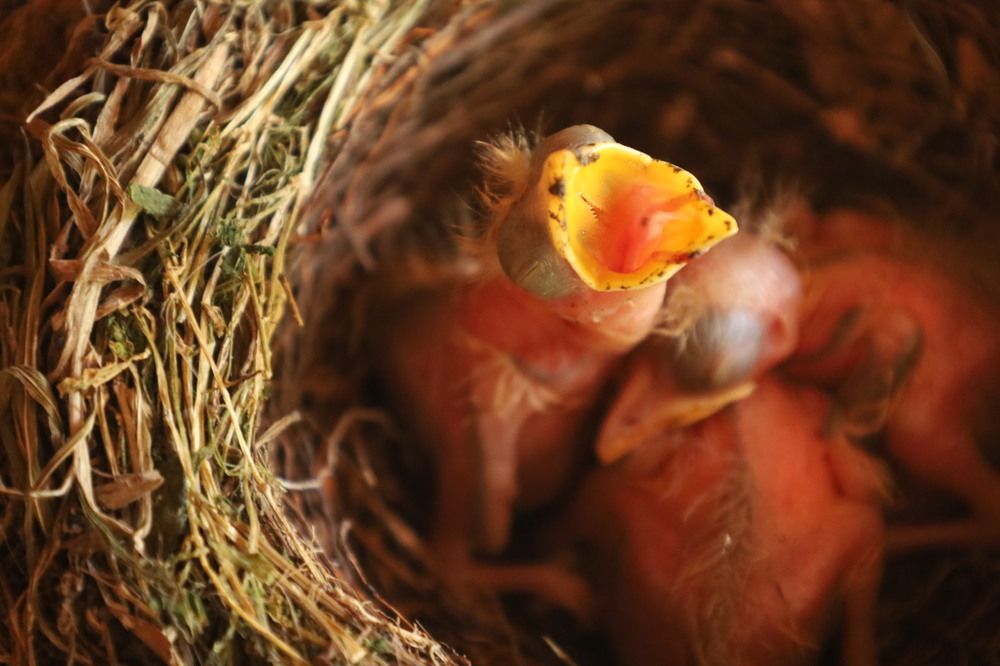 Photograph by Rolando Hernandez