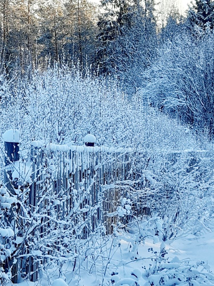 Фотография автора Наталья Шендяпина