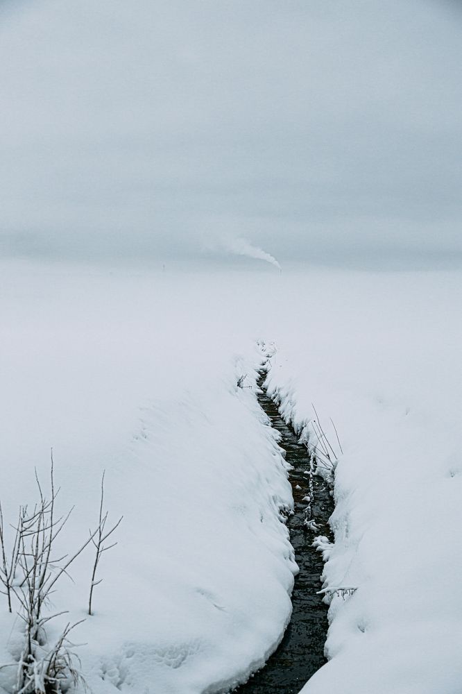 Photograph by Мария Федорова