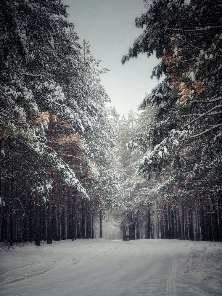 Photograph by Кира Бахвалова