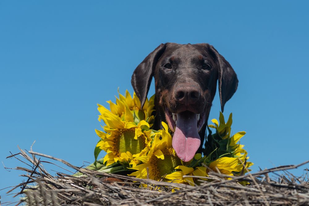 Photograph by Наталья Романова