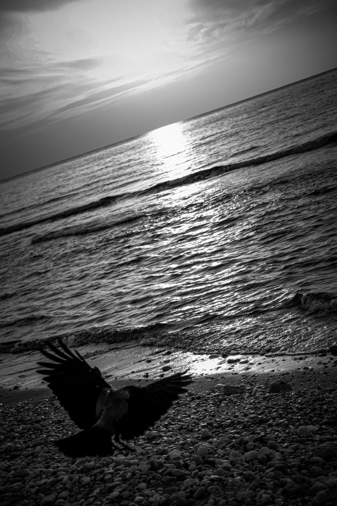 Фотография автора Екатерина