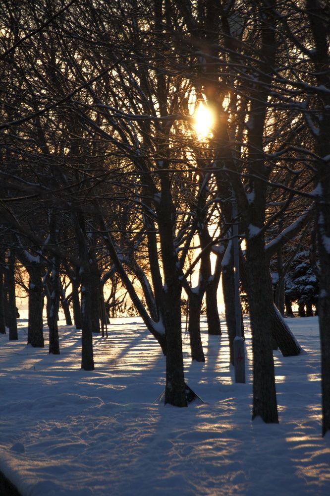 Photograph by Юлия Журавлёва