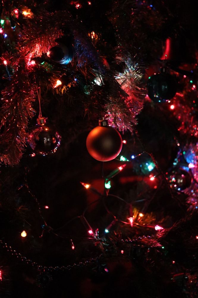 Photograph by Catalin Grădinaru