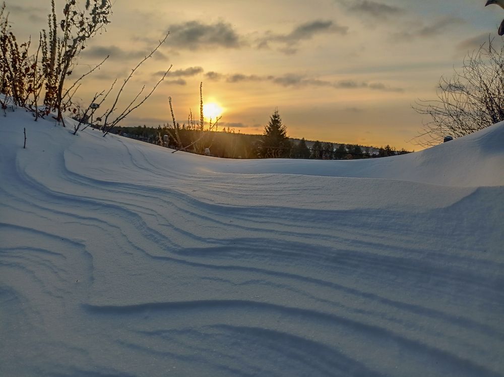 Photograph by Ирина Немкина