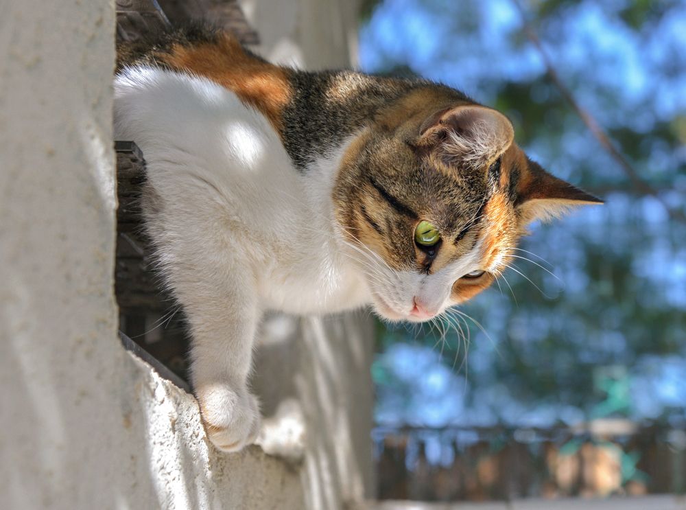 Photograph by Марина Ческис