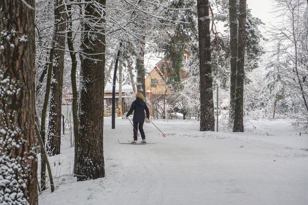 Photograph by Елена Никонова