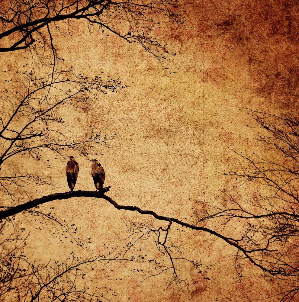 Фотография автора Tatiana Jenni