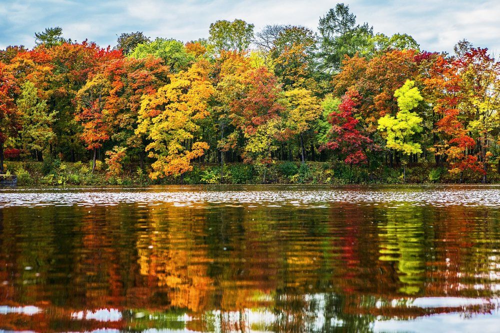 Осенняя раскраска