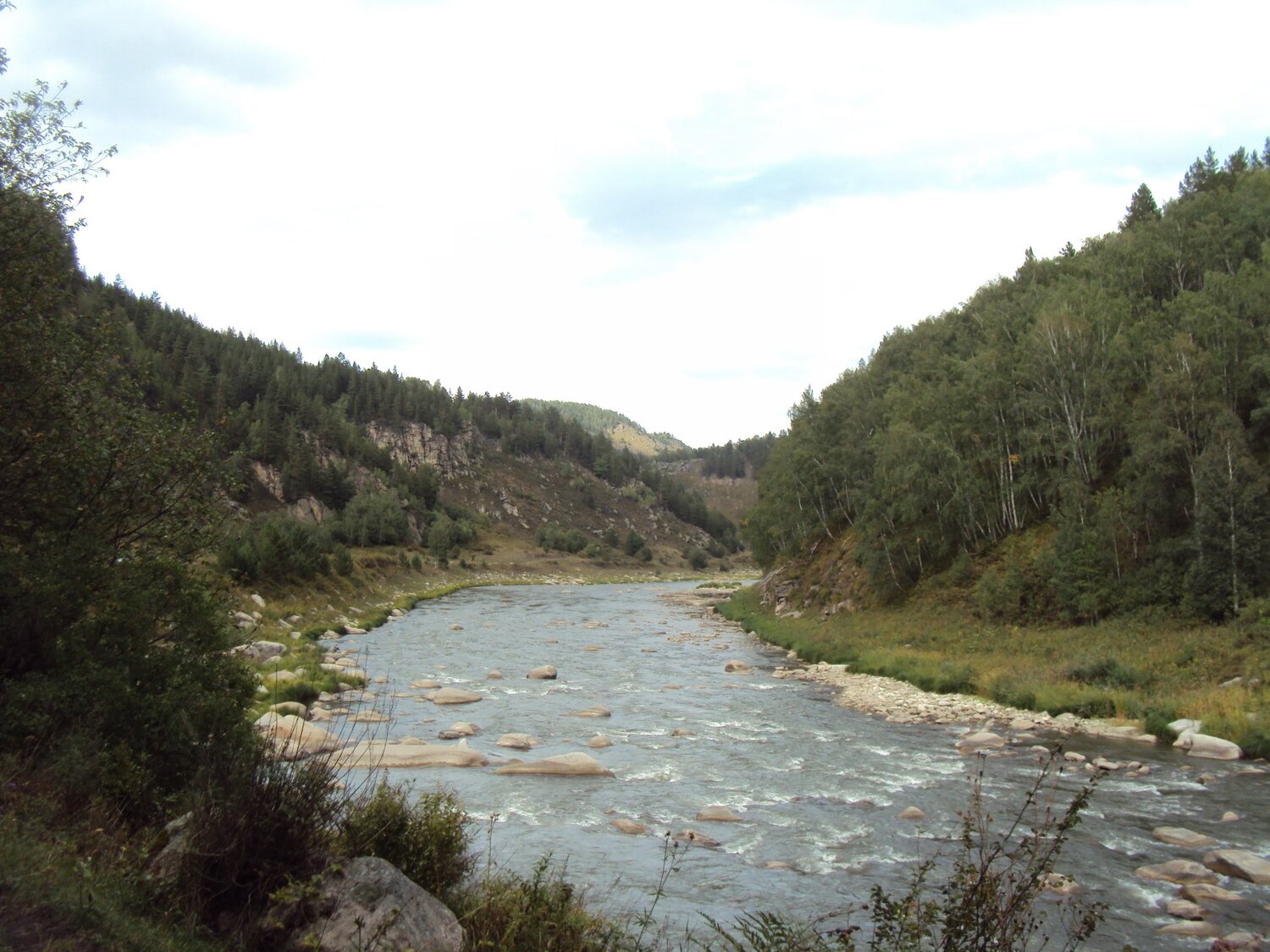 р Песчанка, Алтайский край