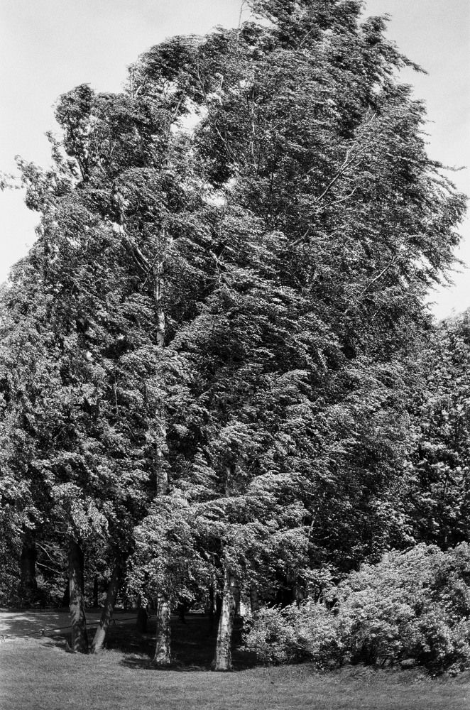 Photograph by Дмитрий Сосна