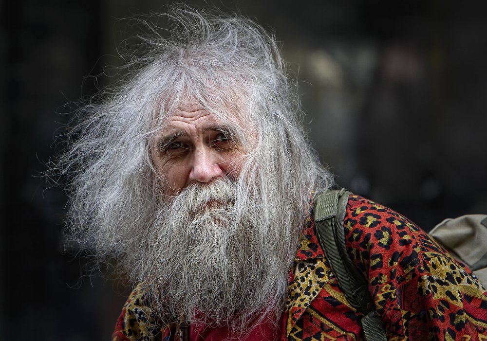 Свободный художник