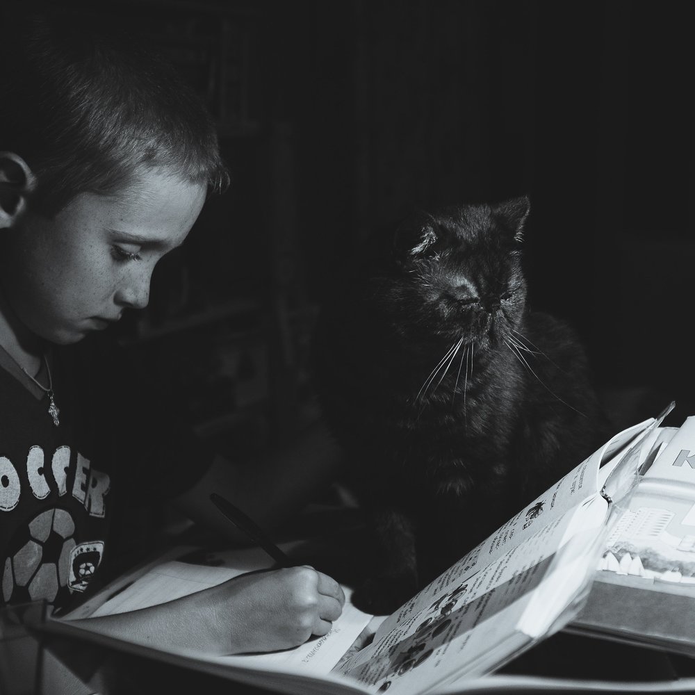 Ученье - свет!