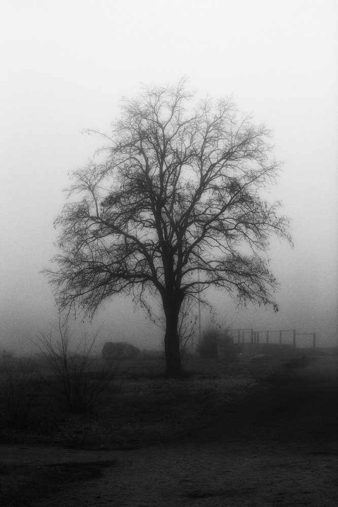 Photograph by игорь