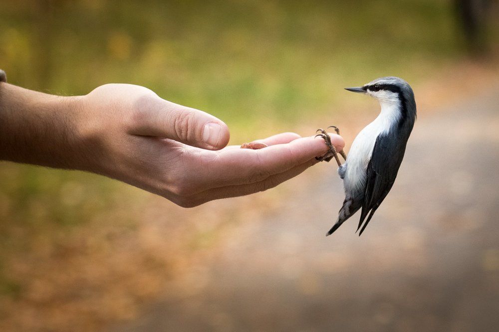 Согласие и единство