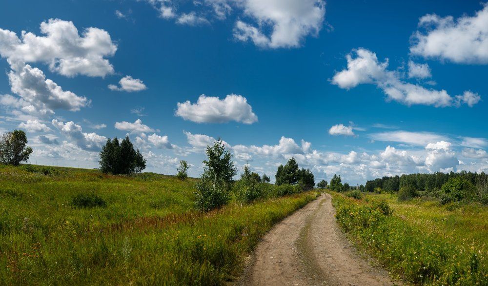 Дорога к дому