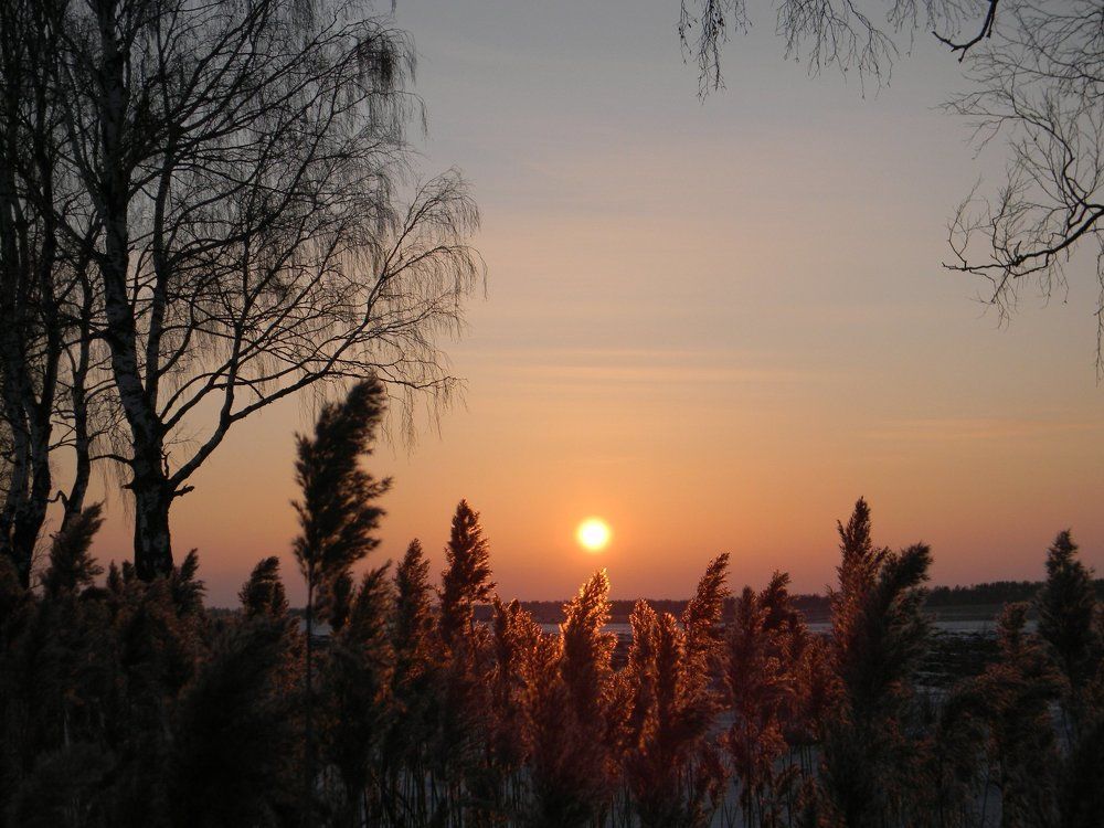 Photograph by Максим