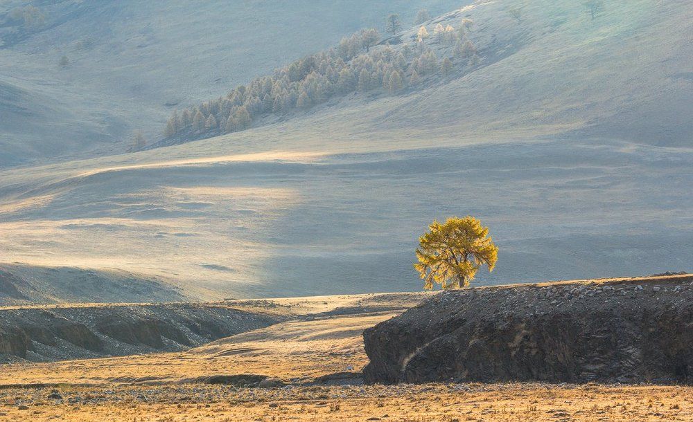 Освещенный солнцем
