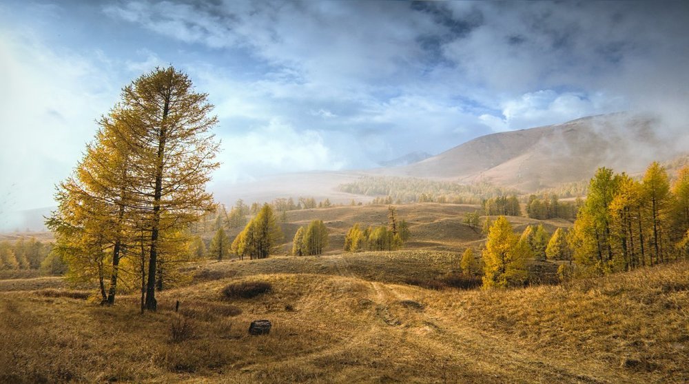 Золото осени