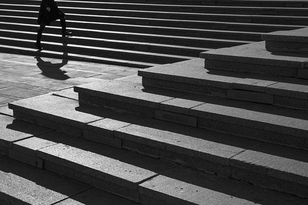 среди линий и теней