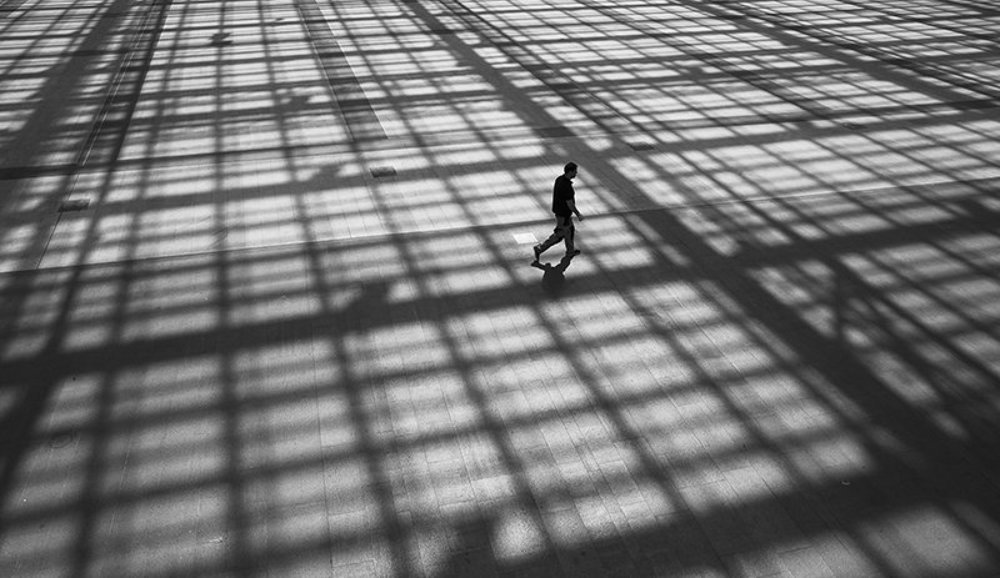 среди линий и теней