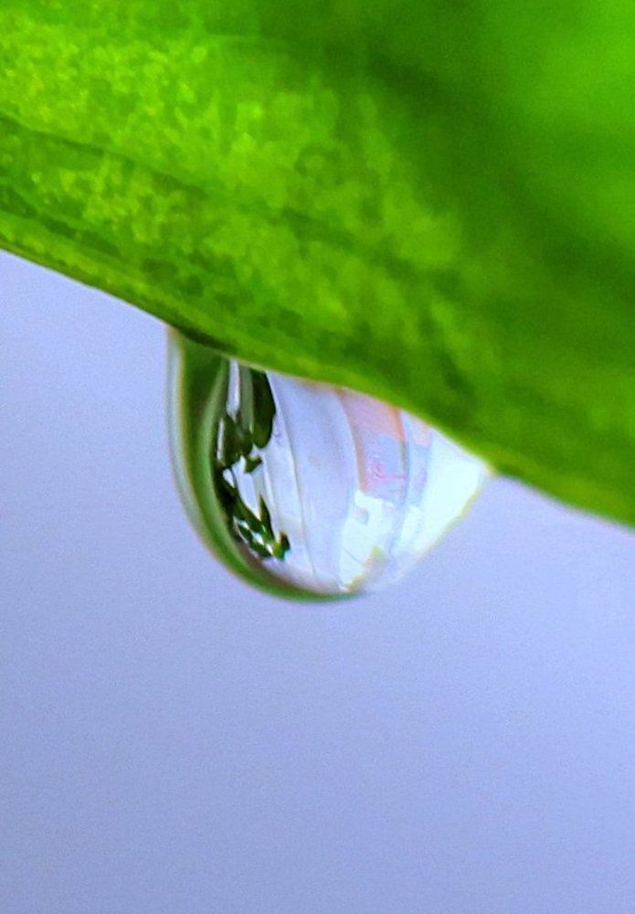 Photograph by Уляна штуник