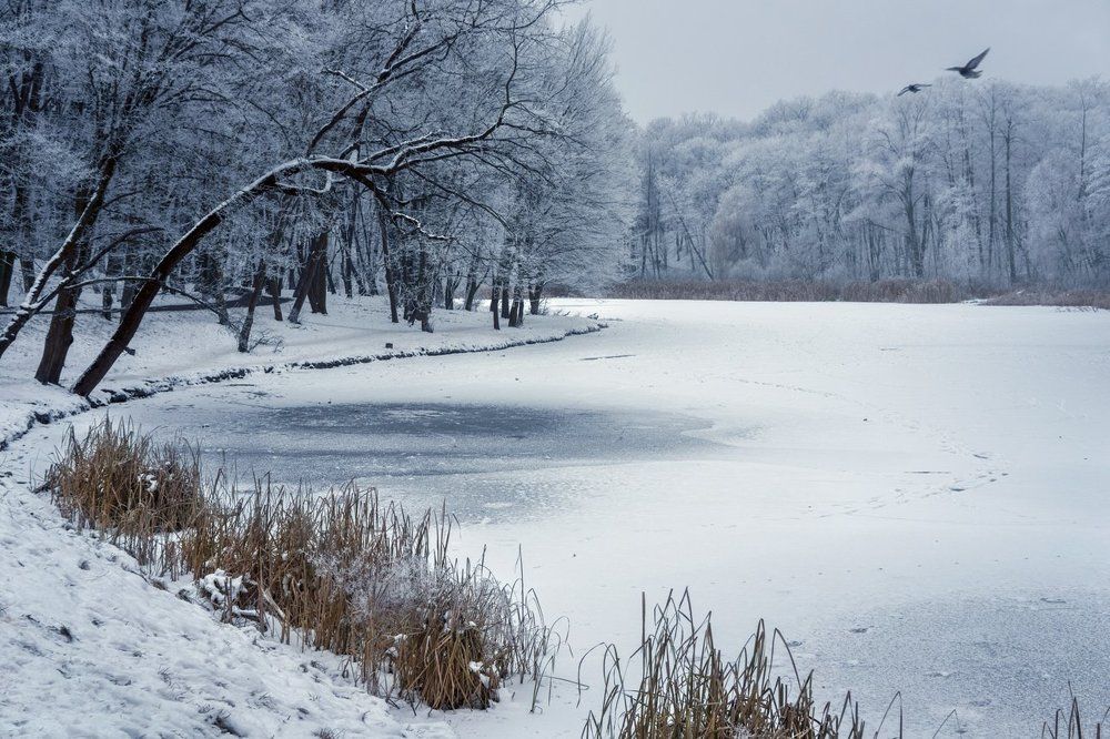 Зимнее озеро