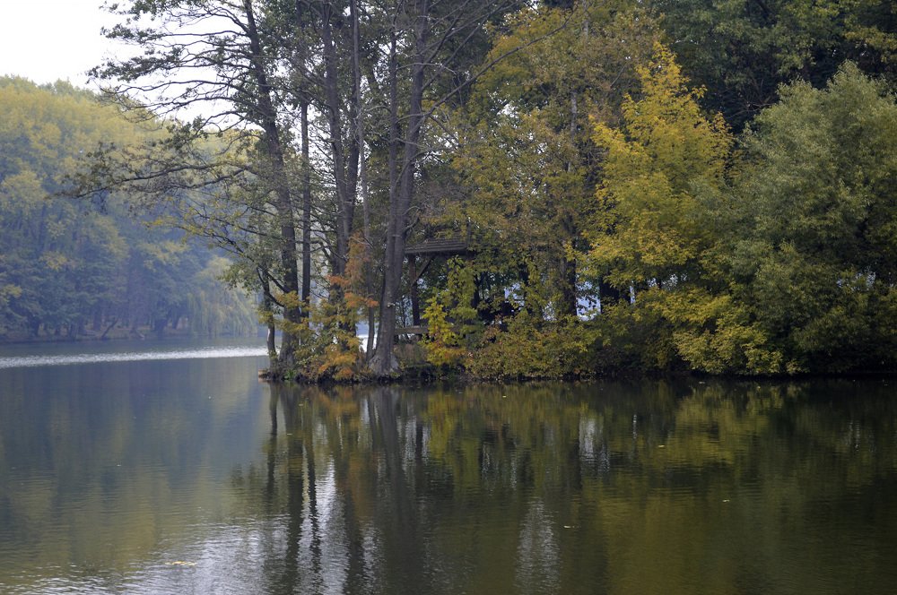 Туман над озером.