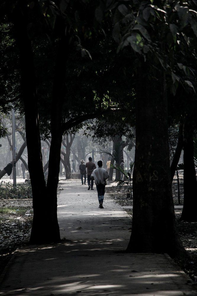 A winter Morning In Bangladesh