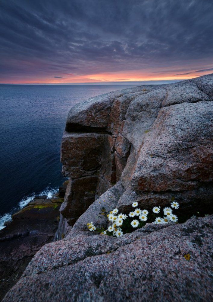 Жизнь на краю