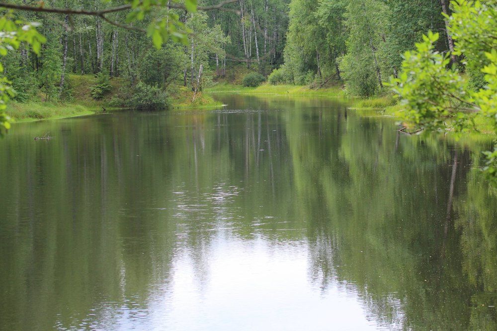 Photograph by Евгения Малафеева