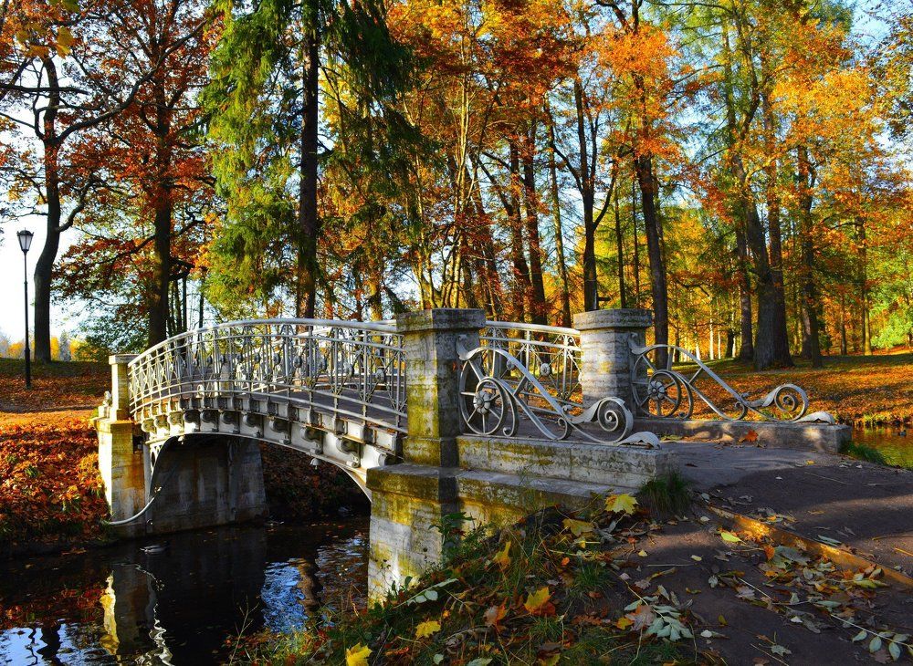 Photograph by Евгения