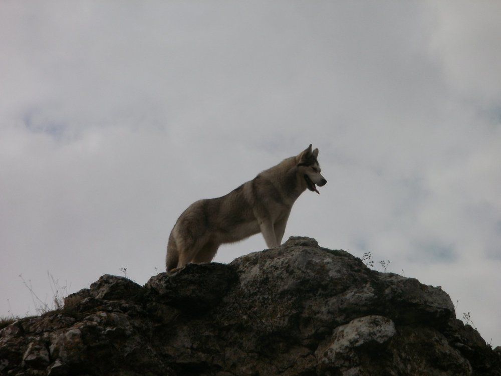 взгляд в даль