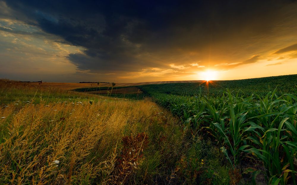 Вечер после грозьі
