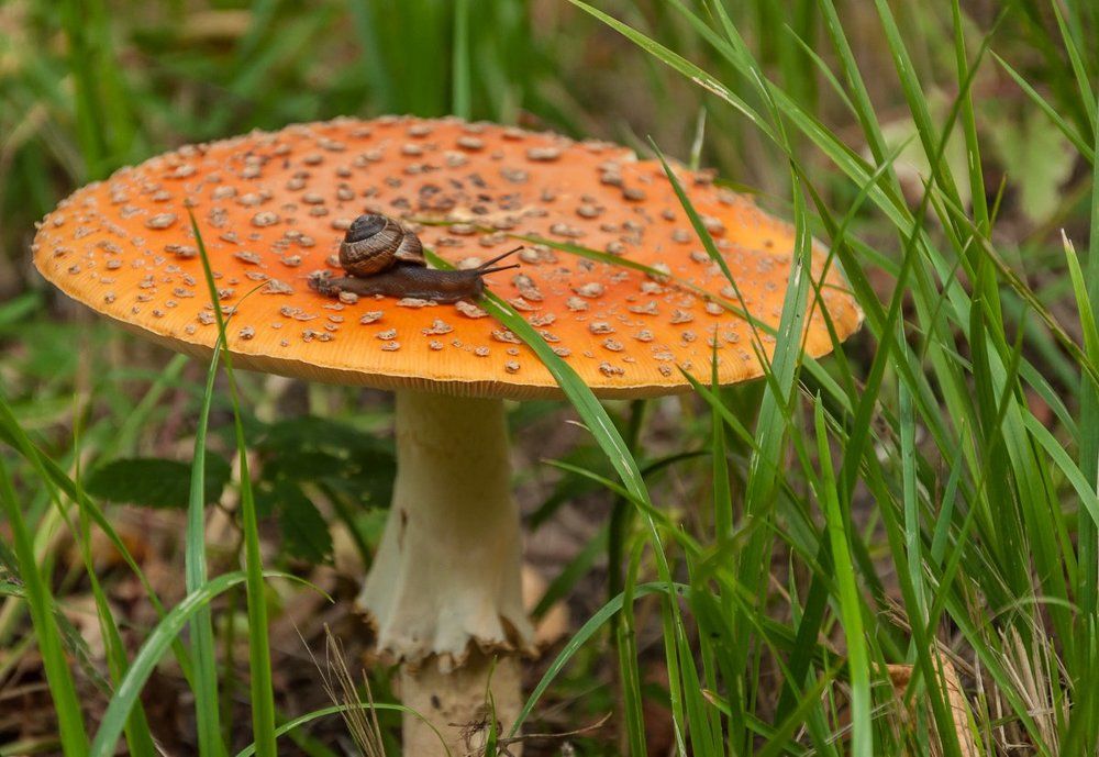 Домик всегда со мной